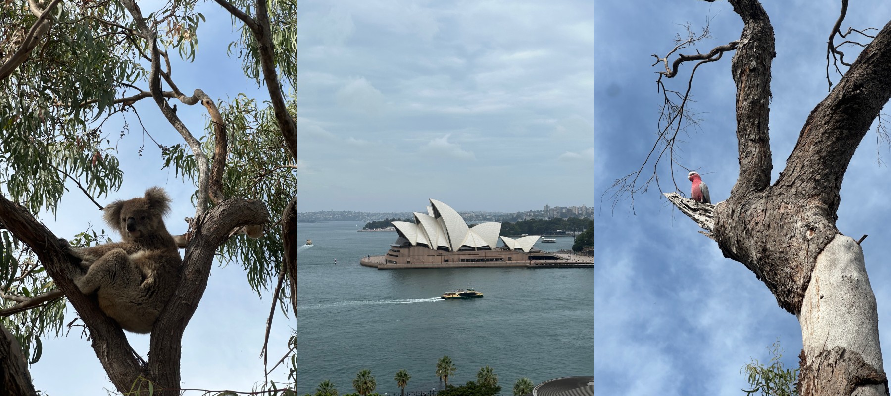 2024 Year In Review: Travel, Fitness, & Quality of Life